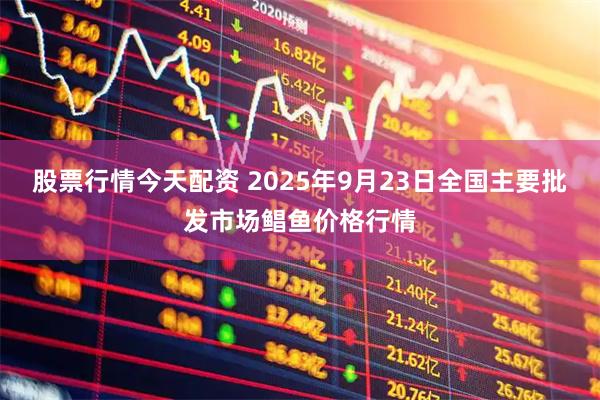 股票行情今天配资 2025年9月23日全国主要批发市场鲳鱼价格行情