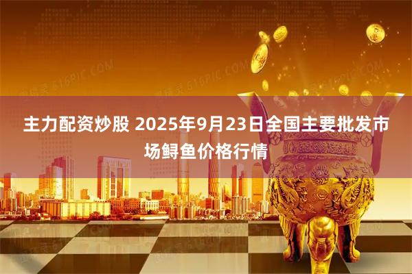 主力配资炒股 2025年9月23日全国主要批发市场鲟鱼价格行情