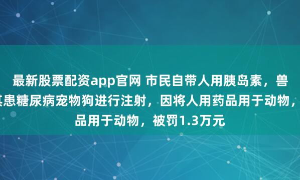 最新股票配资app官网 市民自带人用胰岛素，兽医院免费对其患糖尿病宠物狗进行注射，因将人用药品用于动物，被罚1.3万元